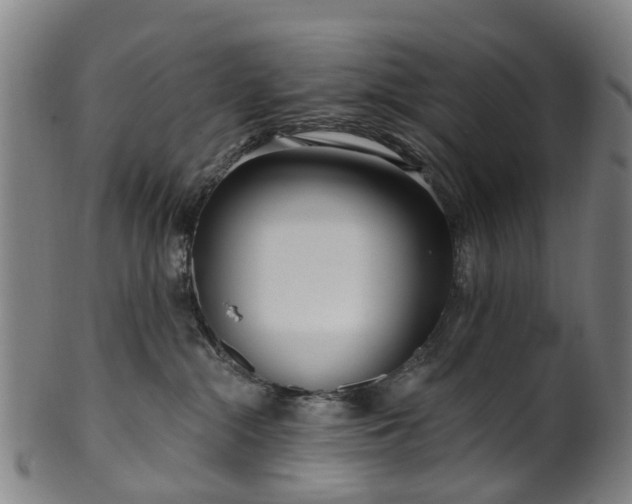 X0000099960284200806061613