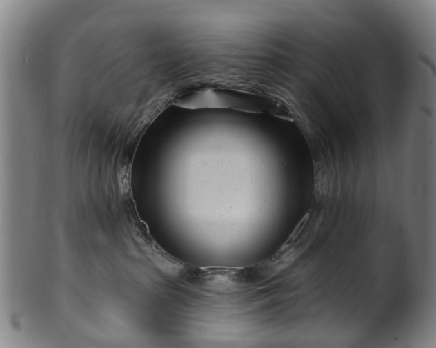 X0000099960285200806061613
