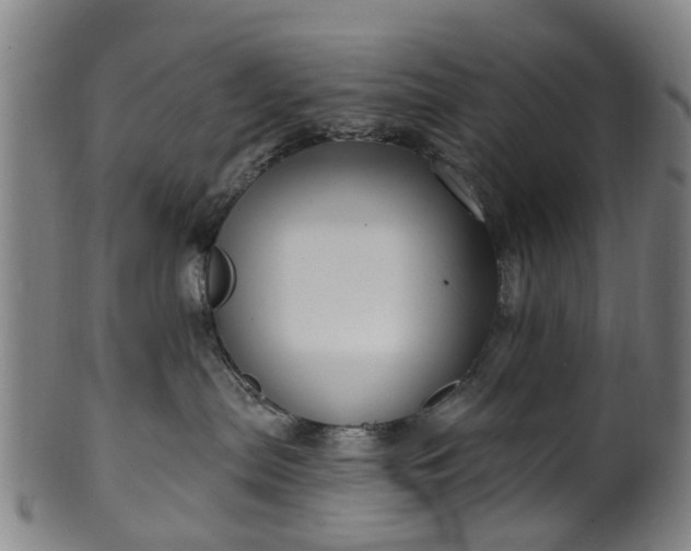 X0000099960287200806061613