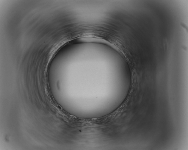 X0000099960289200806061612