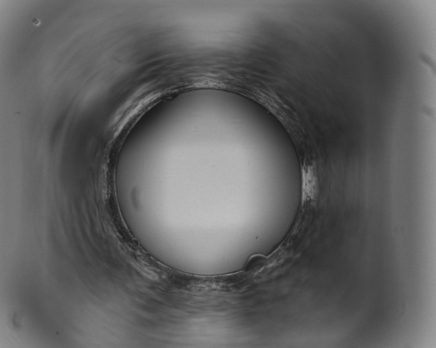 X0000099960291200806061612