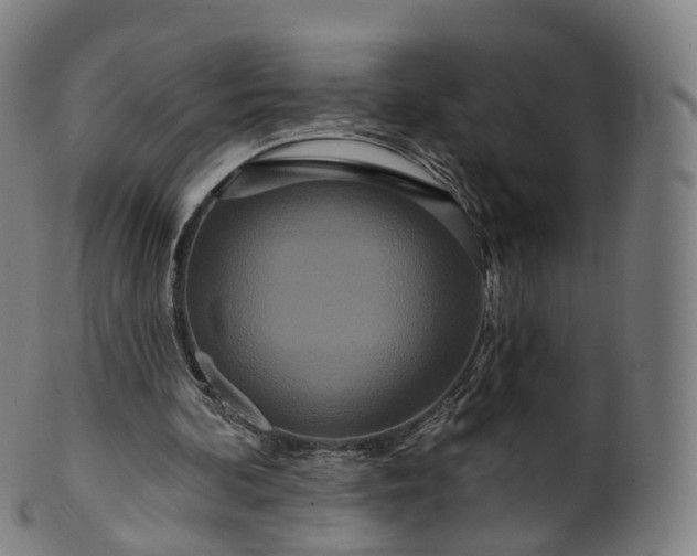 X0000099960292200806061612