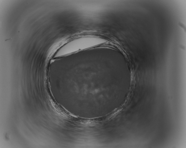 X0000099960293200806061612