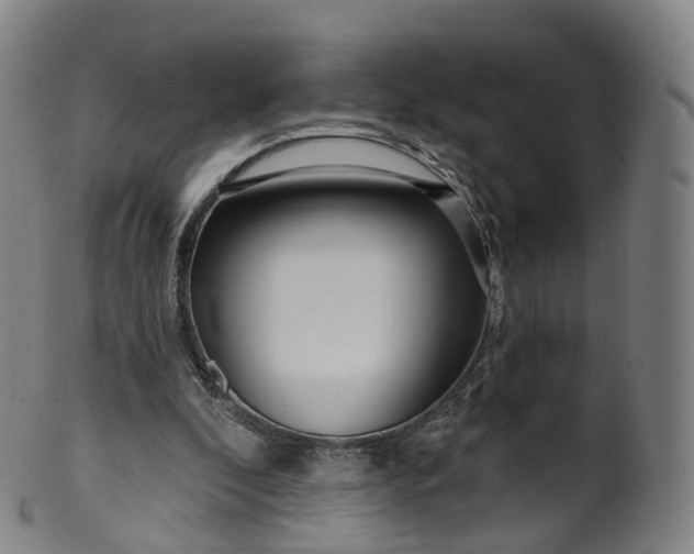 X0000099960296200806061612