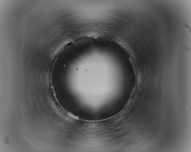 X0000099960297200806061612