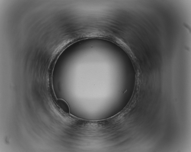 X0000099960298200806061612