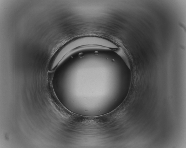 X0000099960299200806061612
