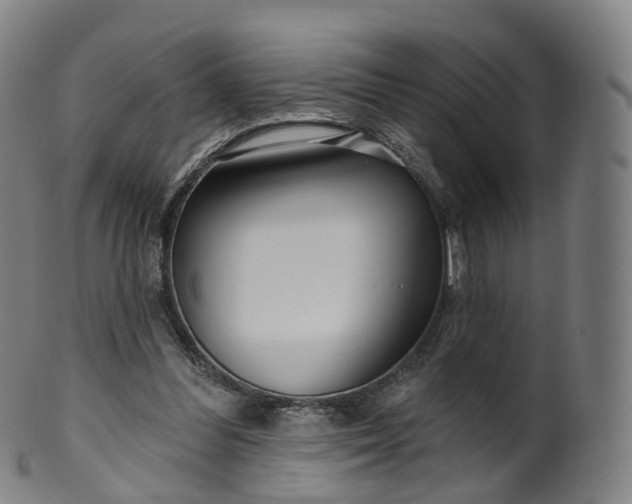 X0000099960300200806061612