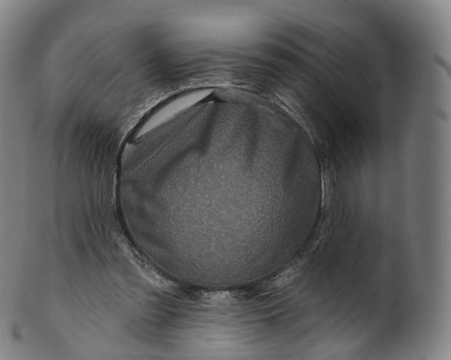 X0000099960301200806061612