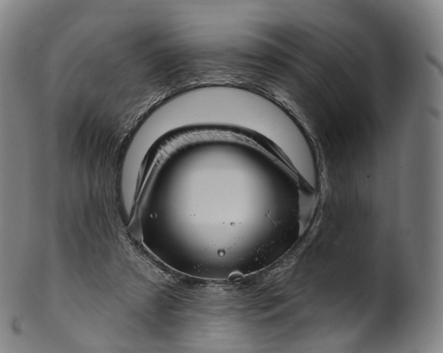 X0000099960305200806061612