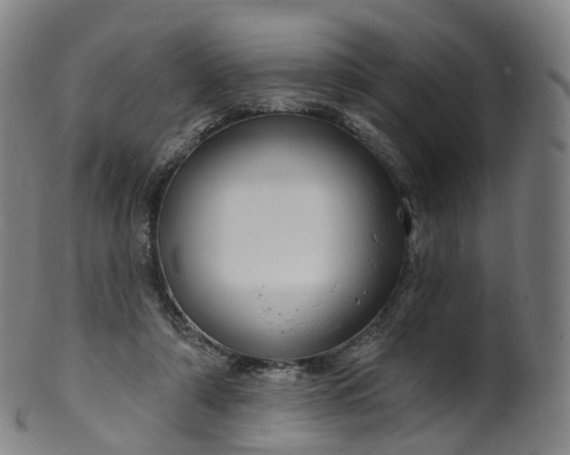 X0000099960306200806061612