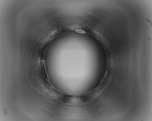 X0000099960308200806061612