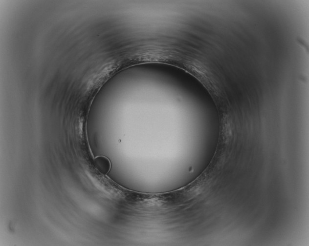 X0000099960310200806061612