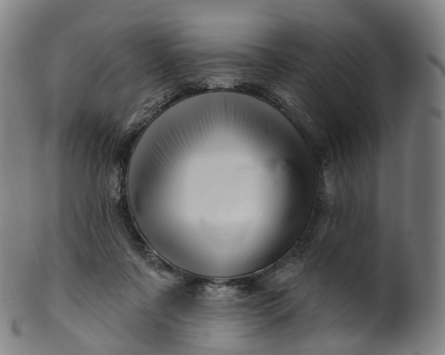 X0000099960311200806061612