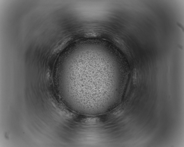 X0000099960314200806061612