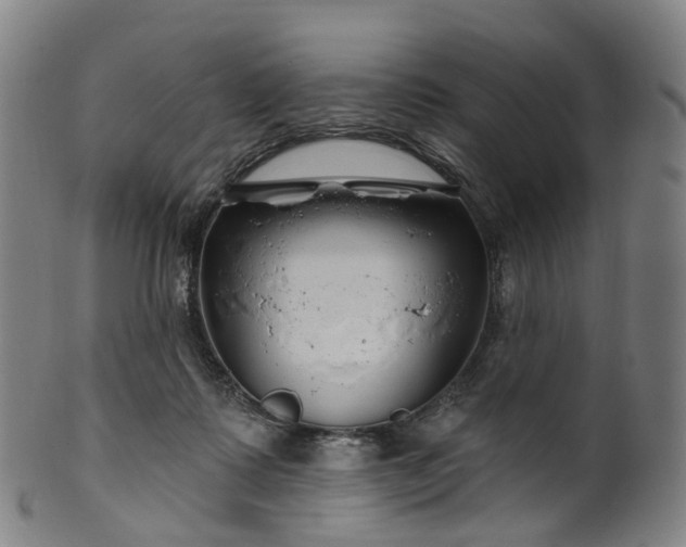 X0000099960315200806061612