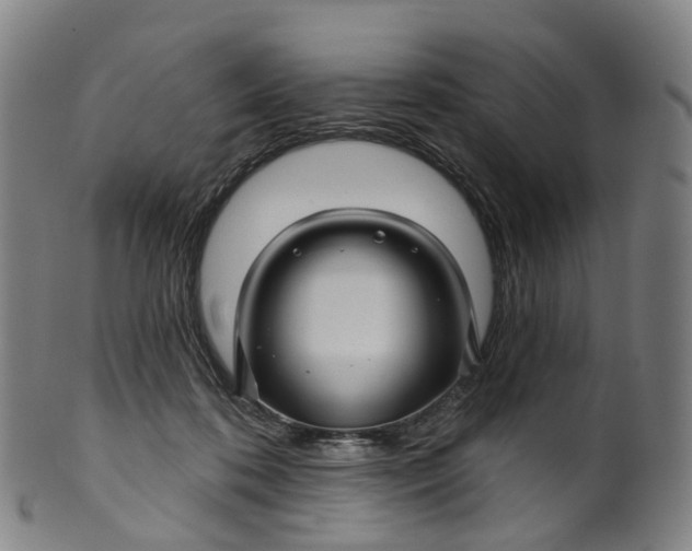 X0000099960316200806061612