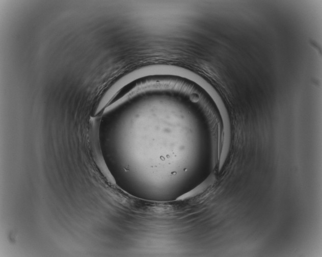 X0000099960317200806061612