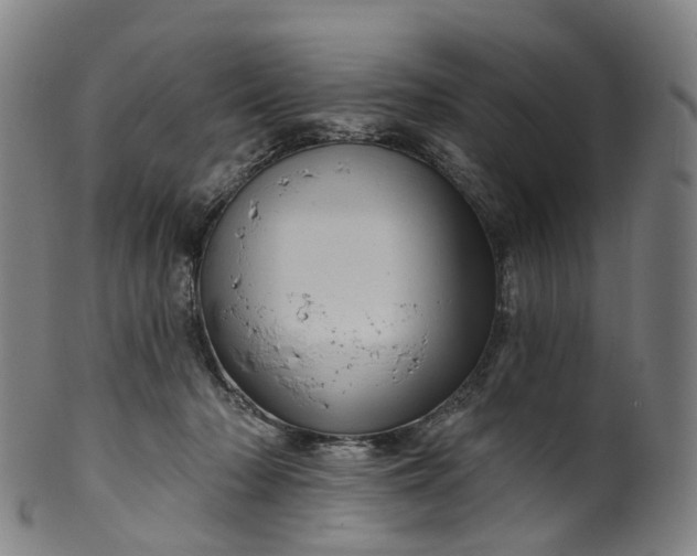 X0000099960318200806061612