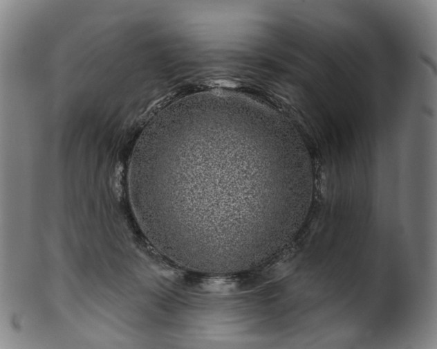 X0000099960319200806061612