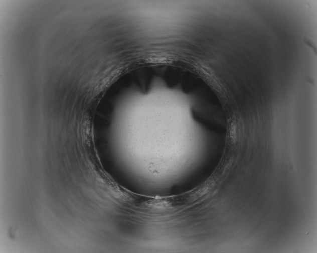 X0000099960322200806061612