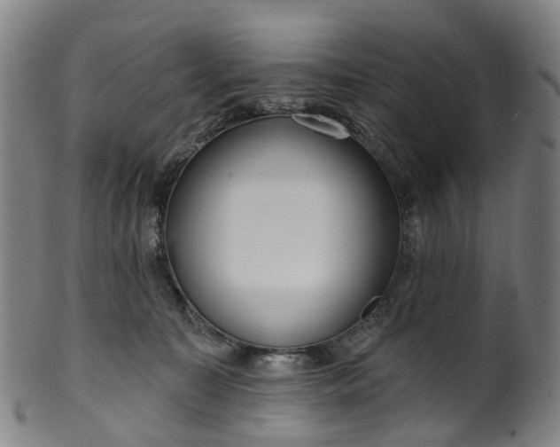 X0000099960323200806061612