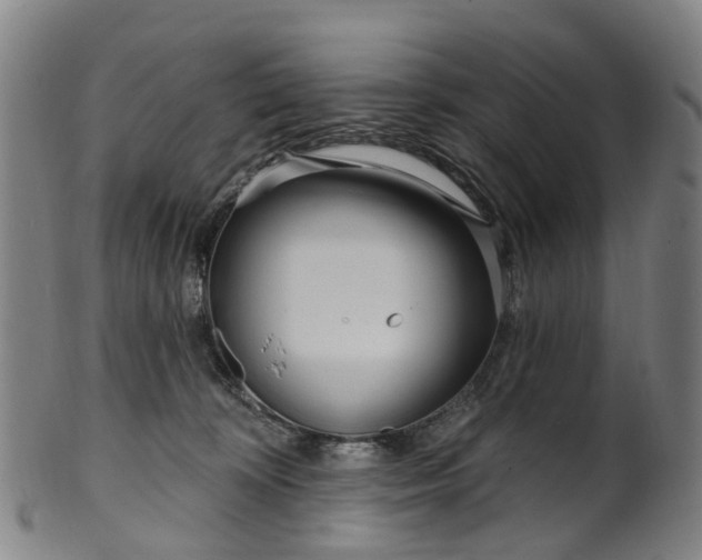 X0000099960324200806061612