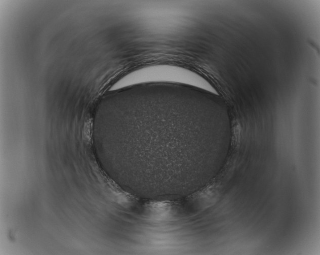 X0000099960325200806061612