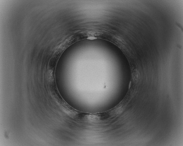 X0000099960327200806061611