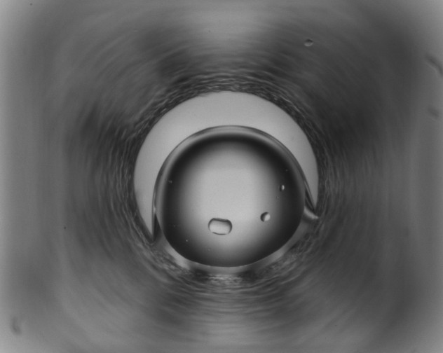 X0000099960328200806061611