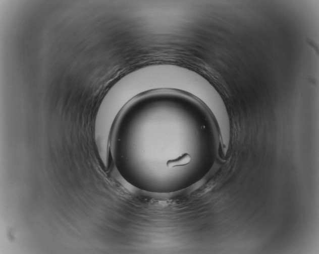 X0000099960329200806061611