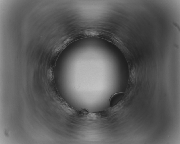 X0000099960330200806061611