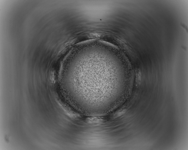 X0000099960331200806061611