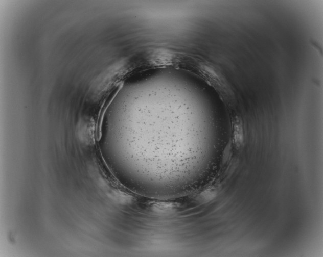 X0000099960332200806061611