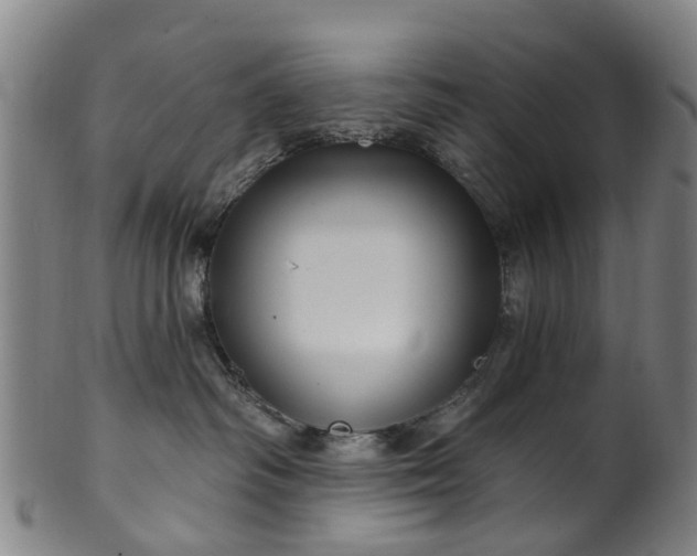 X0000099960334200806061611