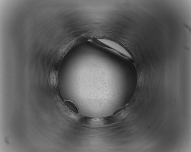 X0000099960335200806061611