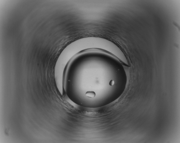 X0000099960336200806061611