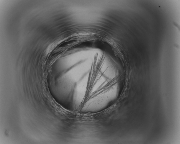 X0000099960337200806061611