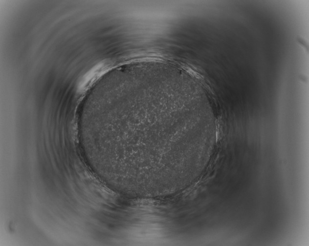 X0000099960339200806061611