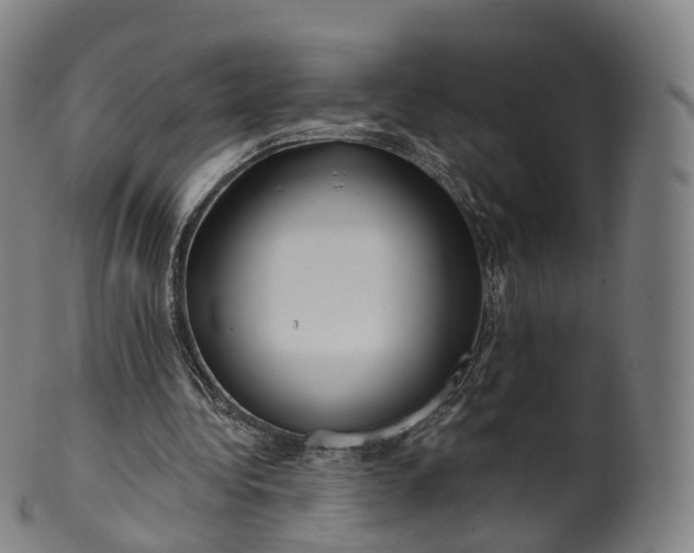 X0000099960340200806061611