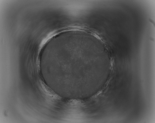X0000099960343200806061611