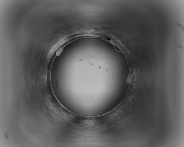 X0000099960344200806061611
