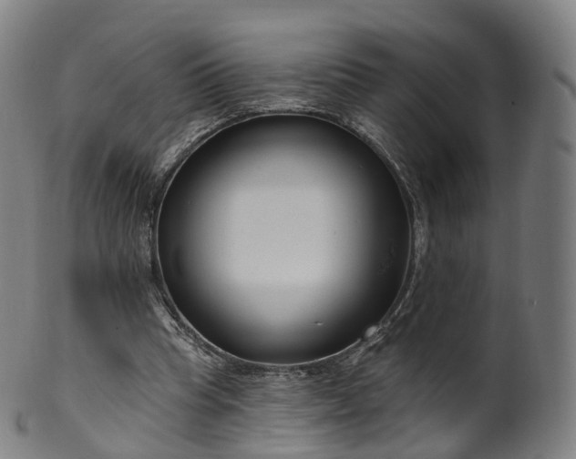 X0000099960345200806061611