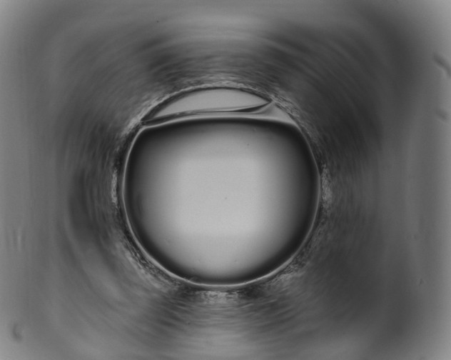 X0000099960347200806061611