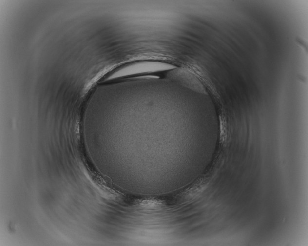 X0000099960348200806061611
