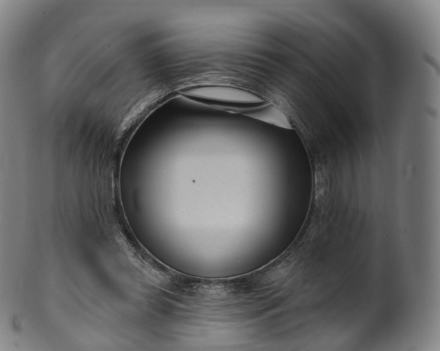 X0000099960349200806061611