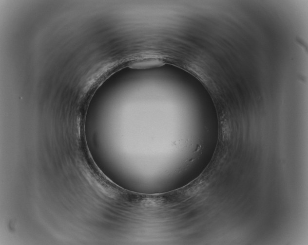 X0000099960350200806061611