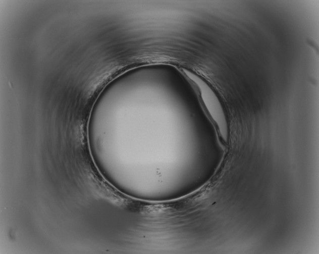 X0000099960351200806061611