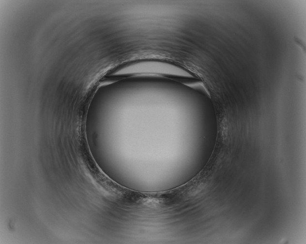 X0000099960352200806061611