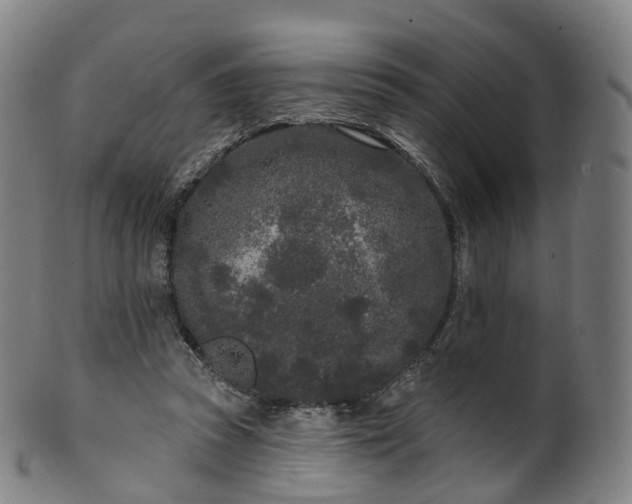 X0000099960353200806061611